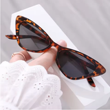 Trendy Cat Eye Sunglasses – Unisex Retro Outdoor Shades
