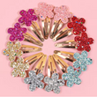 24-Piece Glitter Flower & Butterfly Hair Clips Set