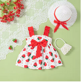 Baby Girl Strawberry Cotton Sundress with Hat