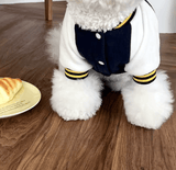 Fashion Winter Pet Baseball Jacket – Stylish Contrasting Coat for Small Dogs & Puppies – Teddy Bear Design, Warm and Cozy Dog Clothes Suit