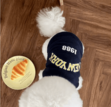Fashion Winter Pet Baseball Jacket – Stylish Contrasting Coat for Small Dogs & Puppies – Teddy Bear Design, Warm and Cozy Dog Clothes Suit