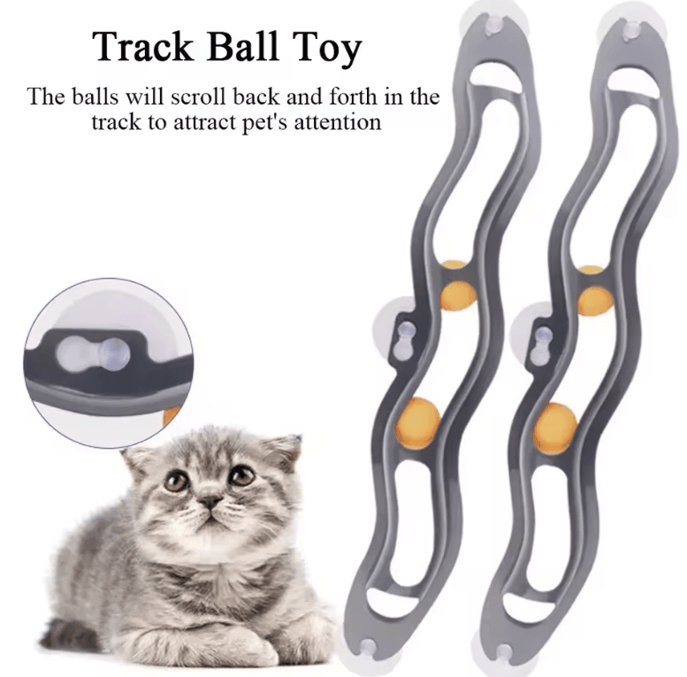 Plastic Sucker Cat Toy Track Ball – Window Table Tennis with Adsorption Glass | Funny & Educational Cat Toy