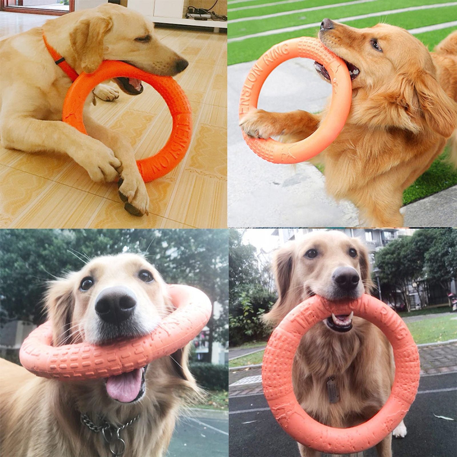 Interactive Orange Dog Toy Flying Disk for Training