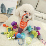 Bite Resistant Squeaky Dog Toy Animals