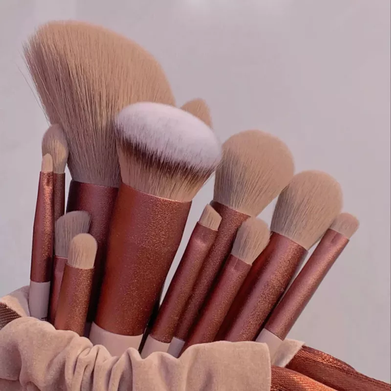 13-Piece Makeup Brush Set for Women
