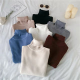 Women's Warm Turtleneck Jumper Sweater