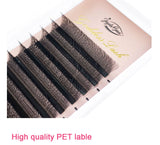 Goddess 4D W Shape Eyelash Extensions - Handmade Volume Lashes