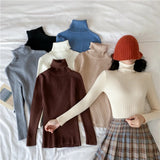 Women's Warm Turtleneck Jumper Sweater