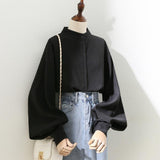 Women's Spring Autumn Blouse with Long Lantern Sleeves
