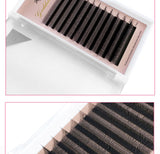 Goddess 4D W Shape Eyelash Extensions - Handmade Volume Lashes