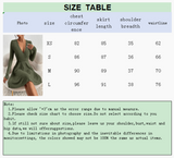 Women's Slim Fit V-Neck Long Sleeve Knit Midi Dress