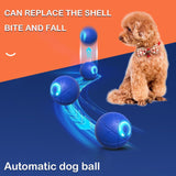 Interactive Dog Ball for Aggressive Chewers