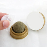 Catnip Balls for Healthy Playtime and Clean Teeth