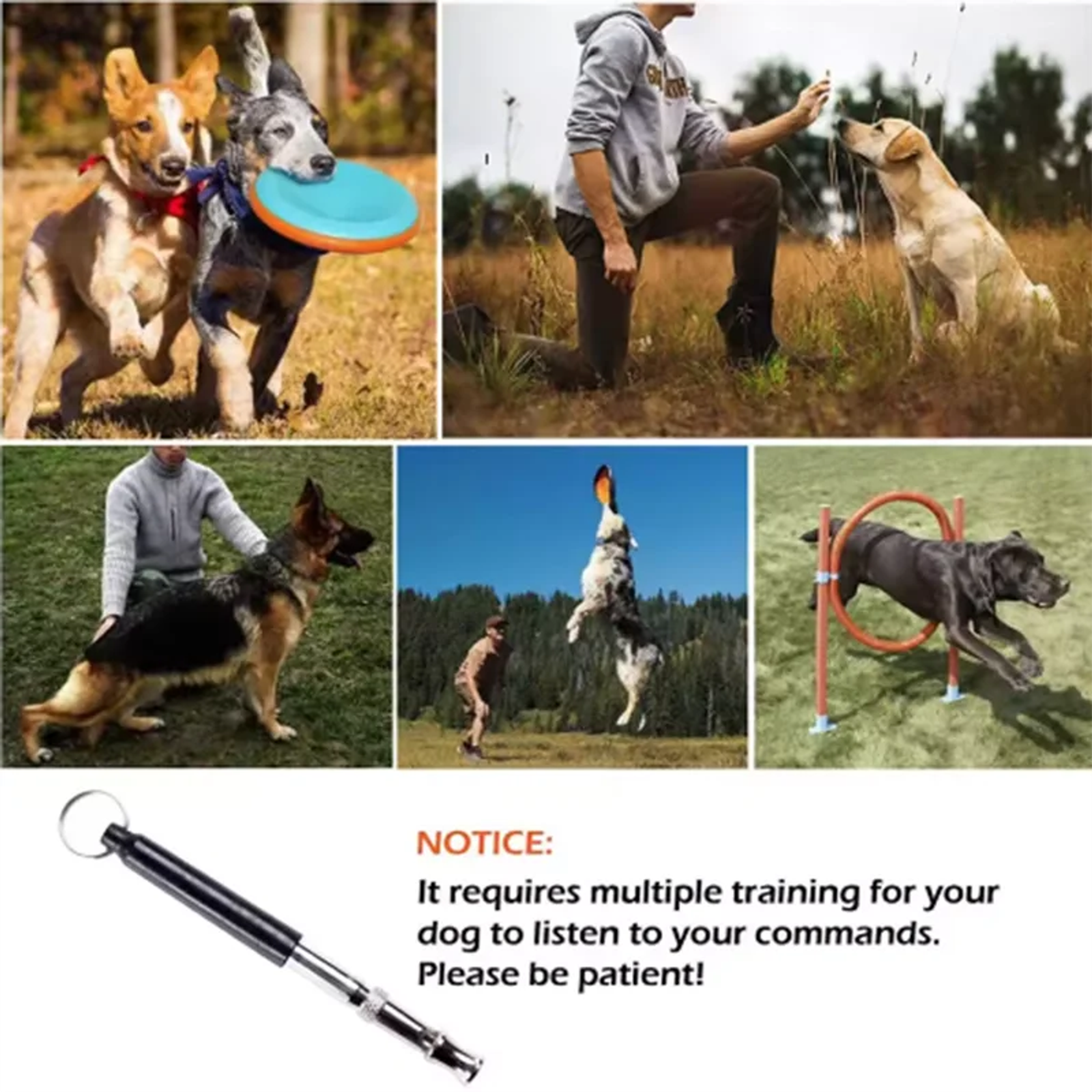 Ultrasonic Dog Training Whistle for Dogs and Pigeons