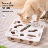 Cat Puzzle Toy Box for Indoor Cats