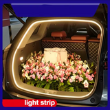 High Brightness LED Trunk Ambient Light Strip
