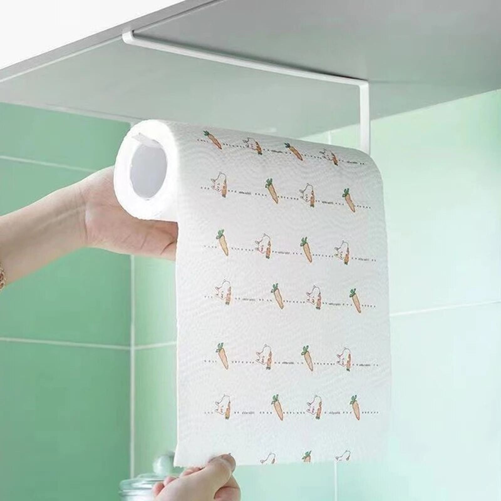 Wall-Mounted Paper Roll and Towel Holder