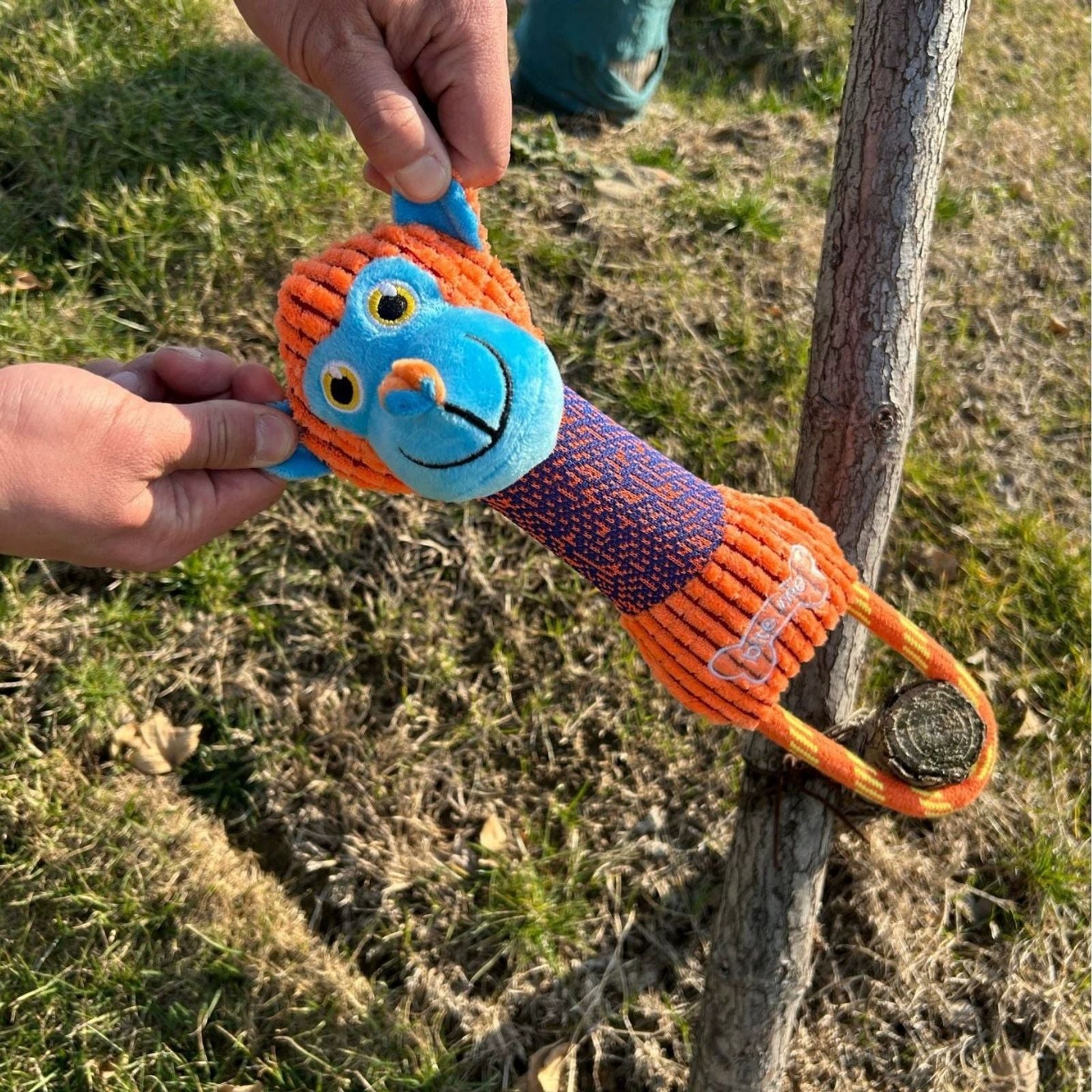 Bite Resistant Squeaky Dog Toy Animals