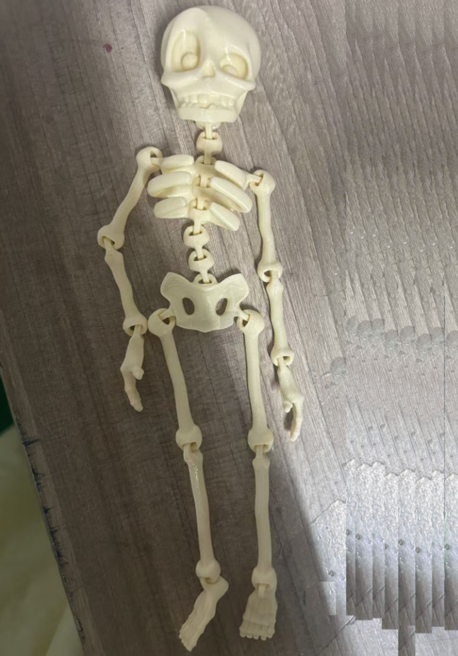 Poseable Skull Fridge Magnet for Quirky Kitchen Decor