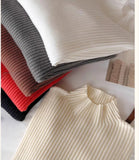 Solid Color Slim Turtleneck Sweater for Women