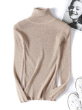 Casual Women's Knitted Turtleneck Sweater
