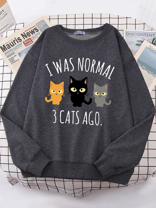 I Was Normal 3 Cats Ago Women's Hoodie