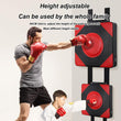 Wall-Mounted Boxing Target Pad for Taekwondo Training