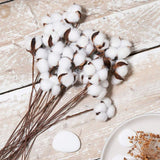 Naturally Cotton Floral Spray for Home Decor