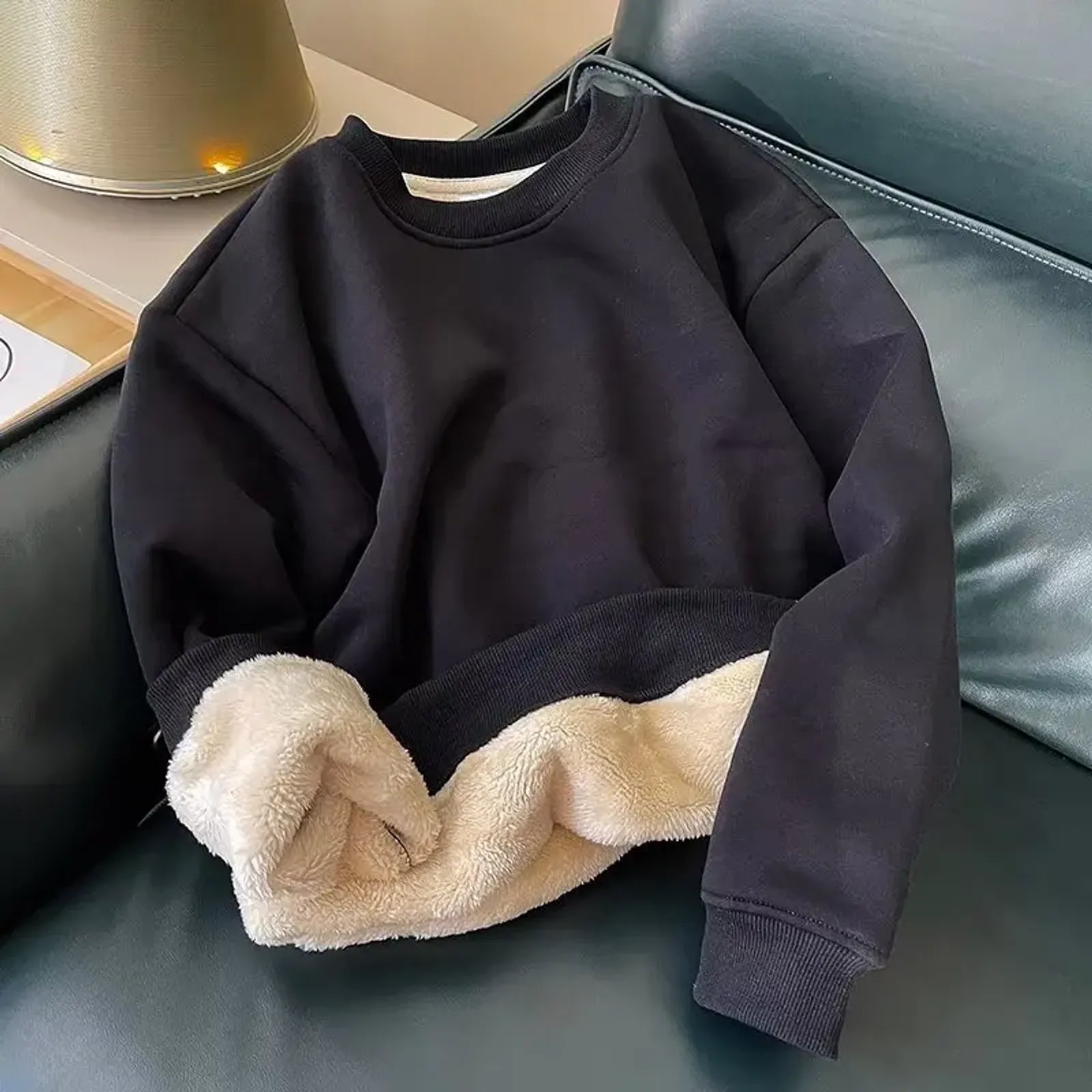 Thickened Lamb Velvet Hoodie Sweatshirt for Men & Women