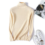 Casual Women's Knitted Turtleneck Sweater