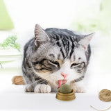 Catnip Balls for Healthy Playtime and Clean Teeth