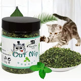 Organic 100% Natural Catnip Cattle Grass Toy