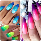 6pcs Thermal Gel Nail Polish Set with Gold Foils