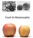 Vacuum Sealed Coffee Beans Storage Jar