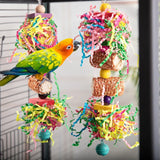 Colorful Parrot Toy Set - Chewing & Foraging Rack