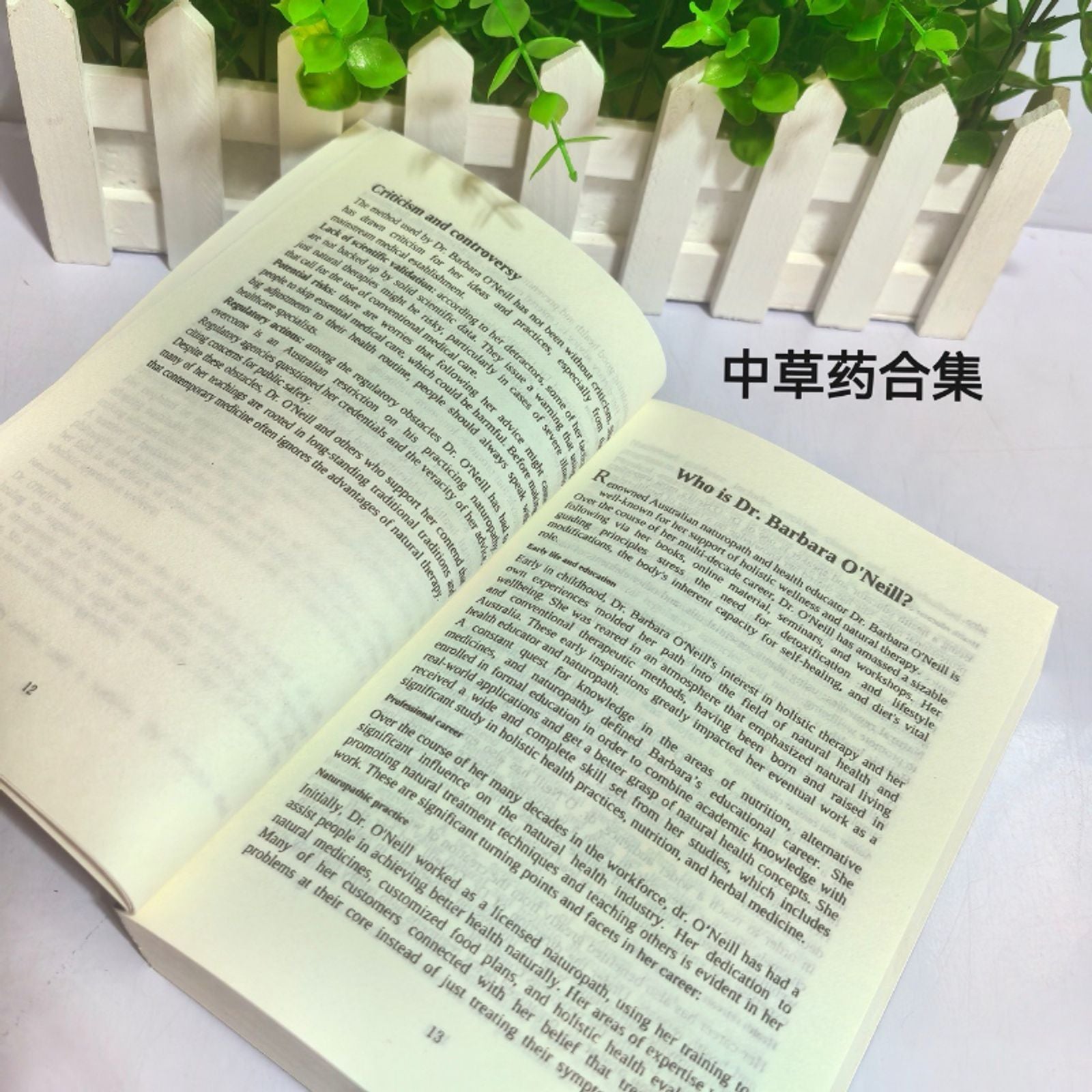 The Lost Book of Herbal Remedies by Dr. Nicole Apelian