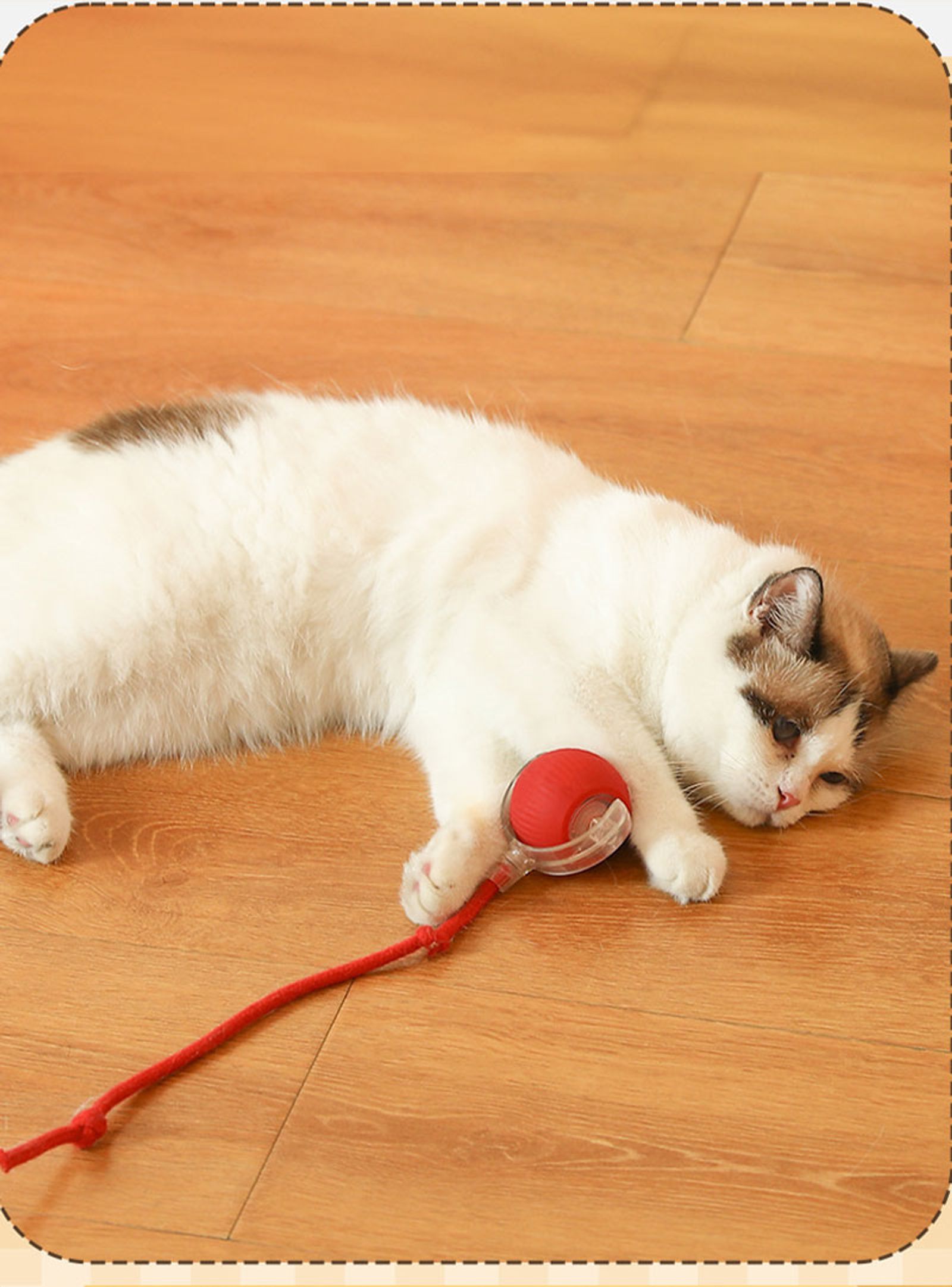 Automatic Rolling Electric Cat Ball Toy with Faux Tail
