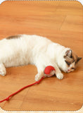 Automatic Rolling Electric Cat Ball Toy with Faux Tail