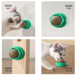 Natural Catnip Wall Ball Toy for Cats