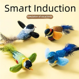 Interactive Electric Cat Toy with Chirping Sound