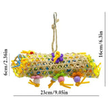 Colorful Parrot Toy Set - Chewing & Foraging Rack
