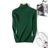 Casual Women's Knitted Turtleneck Sweater