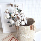 Naturally Cotton Floral Spray for Home Decor