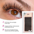 Goddess 4D W Shape Eyelash Extensions - Handmade Volume Lashes