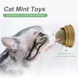 Catnip Balls for Healthy Playtime and Clean Teeth