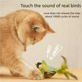 Interactive Electric Cat Toy with Chirping Sound