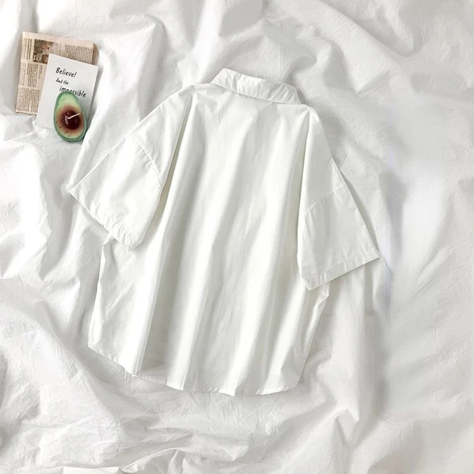 Women’s White Short Sleeve Lapel Blouse with Tie