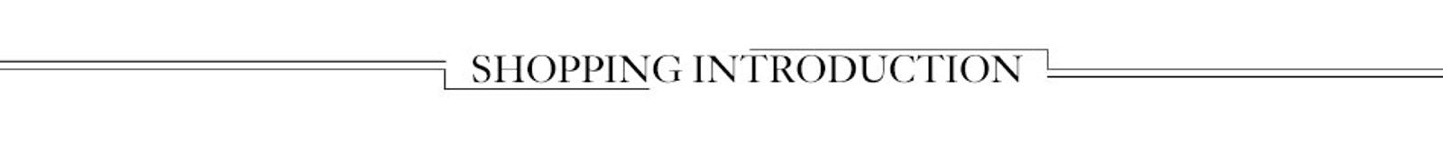 Women's Long Sleeve Chiffon Blouse - Elegant V Neck Shirt