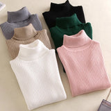 Casual Women's Knitted Turtleneck Sweater
