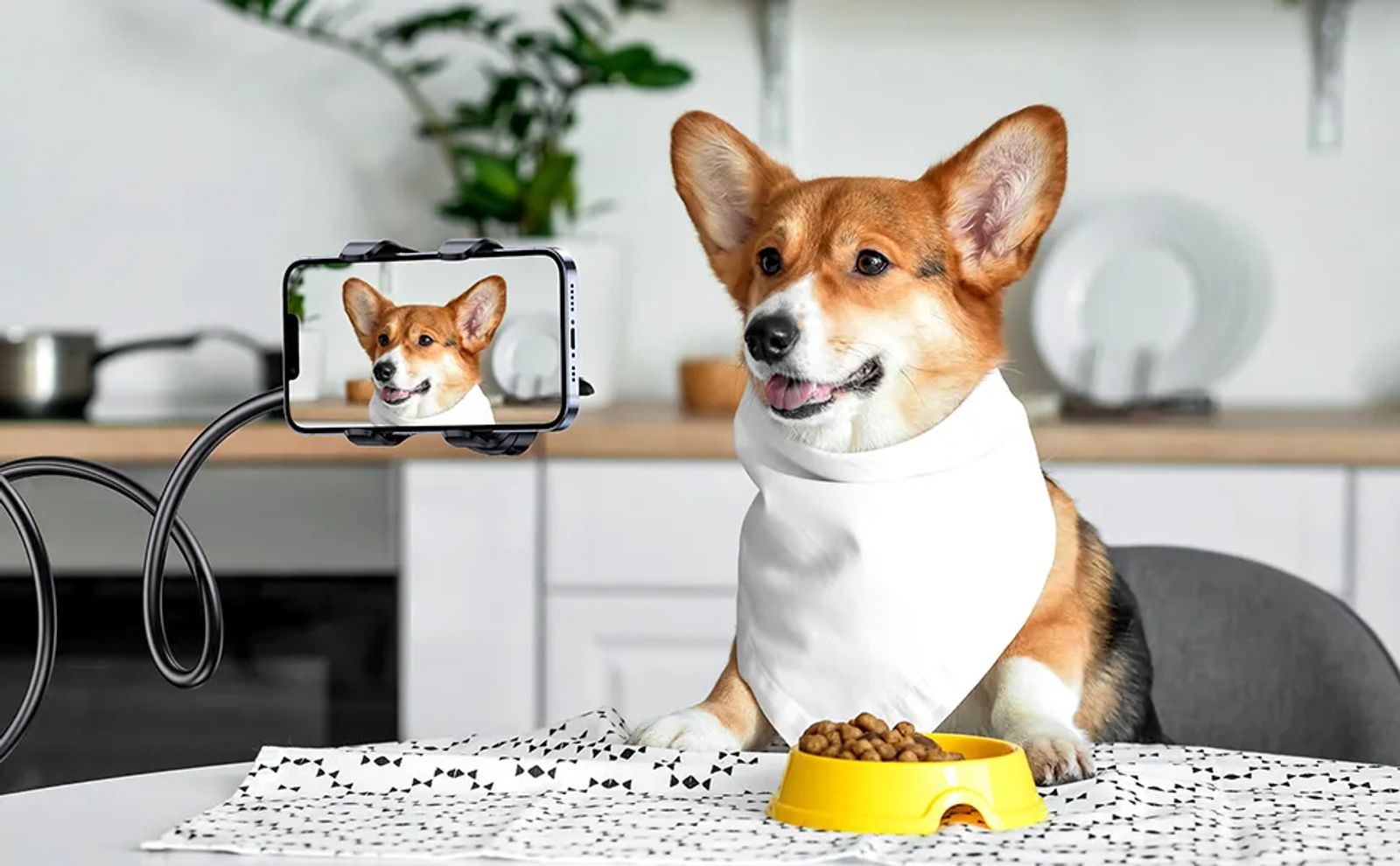 Adjustable Universal Mobile Phone Stand for Desk & Bedside